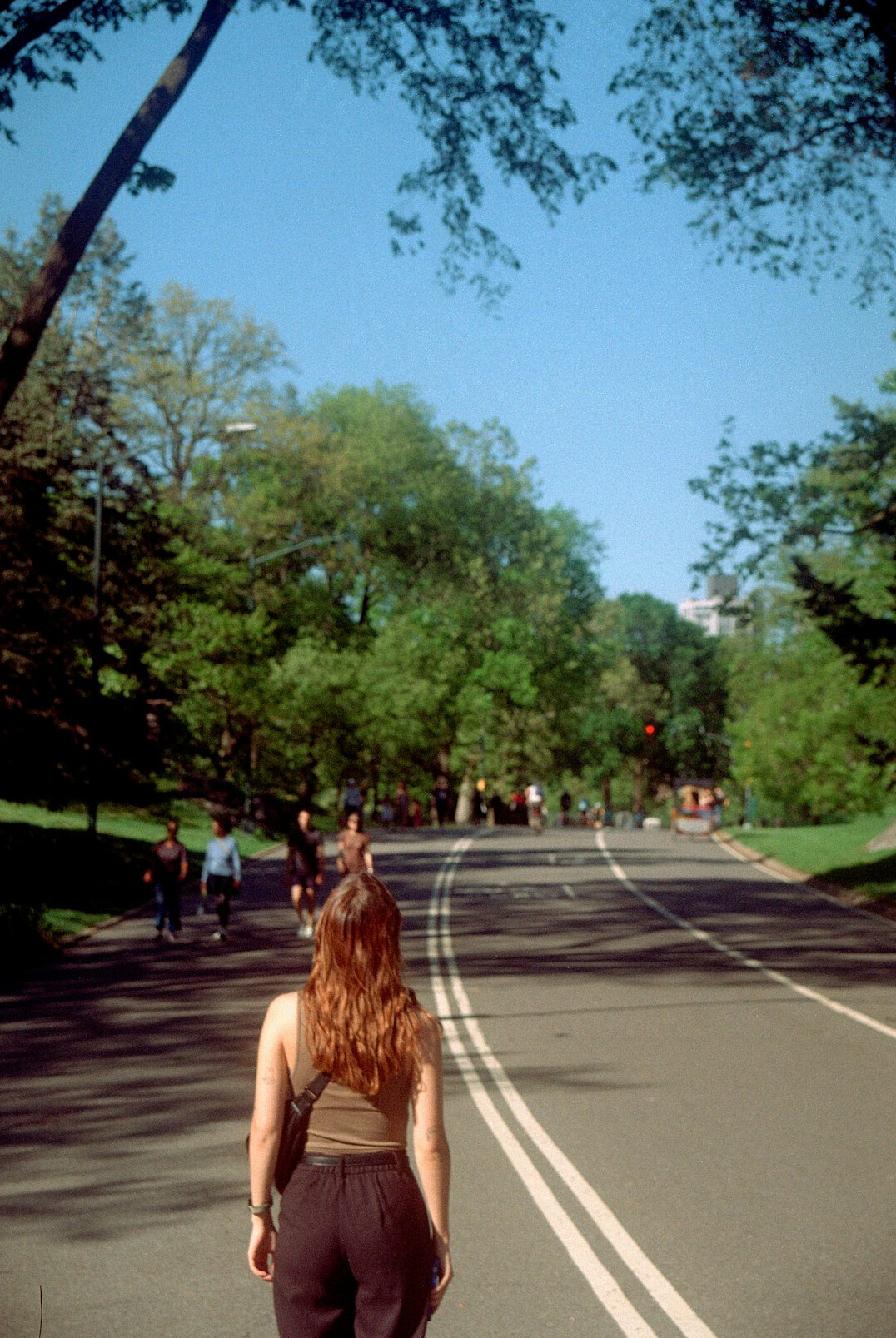people walking in park
